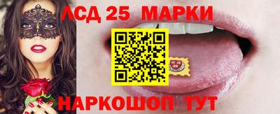 спайс Берёзовский