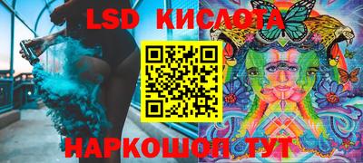 спайс Берёзовский