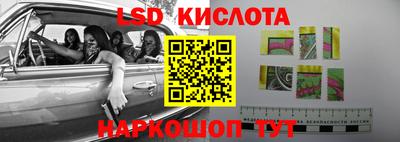 прущие грибы Бийск