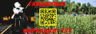 прущие грибы Бийск
