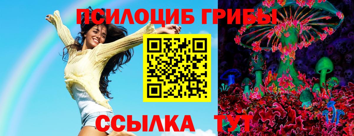 Галлюциногенные грибы мицелий Зерноград