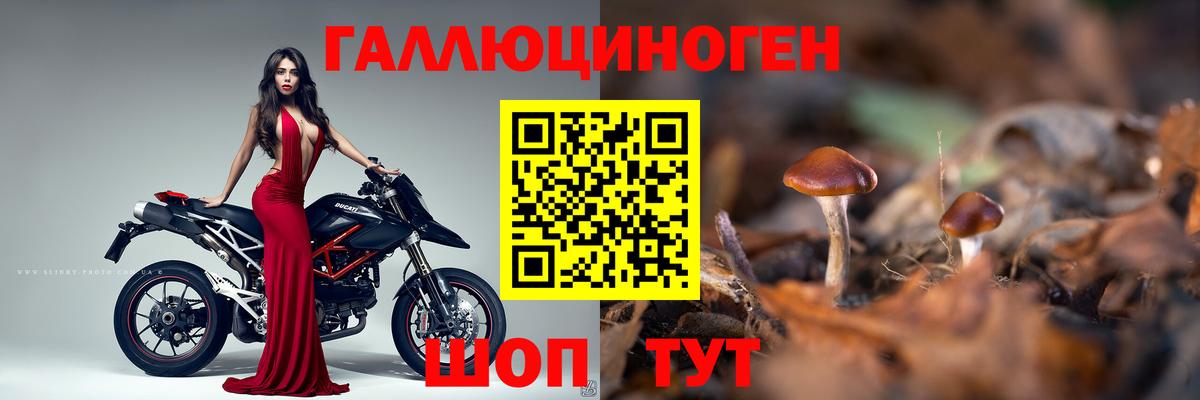 Псилоцибиновые грибы MAGIC MUSHROOMS  Вход с VPN  Зерноград 